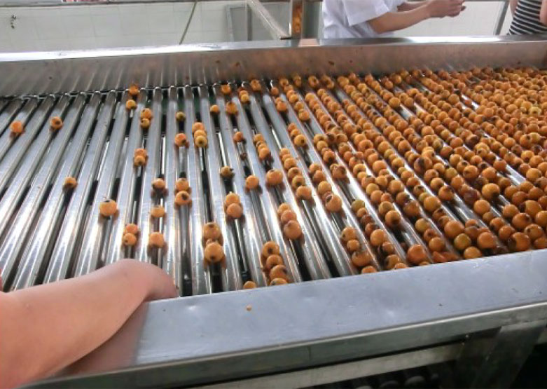 Fructus & Vegetabilis Sorting Equipment