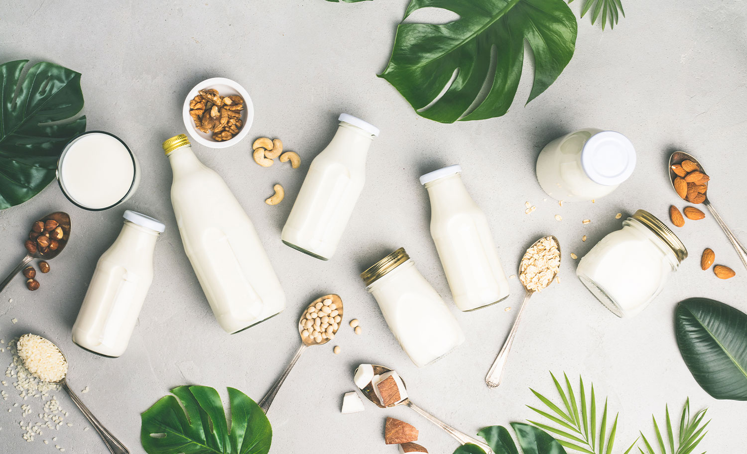 Liquid Food Processing Production Line: Equipment, Design, and Investment Guide
